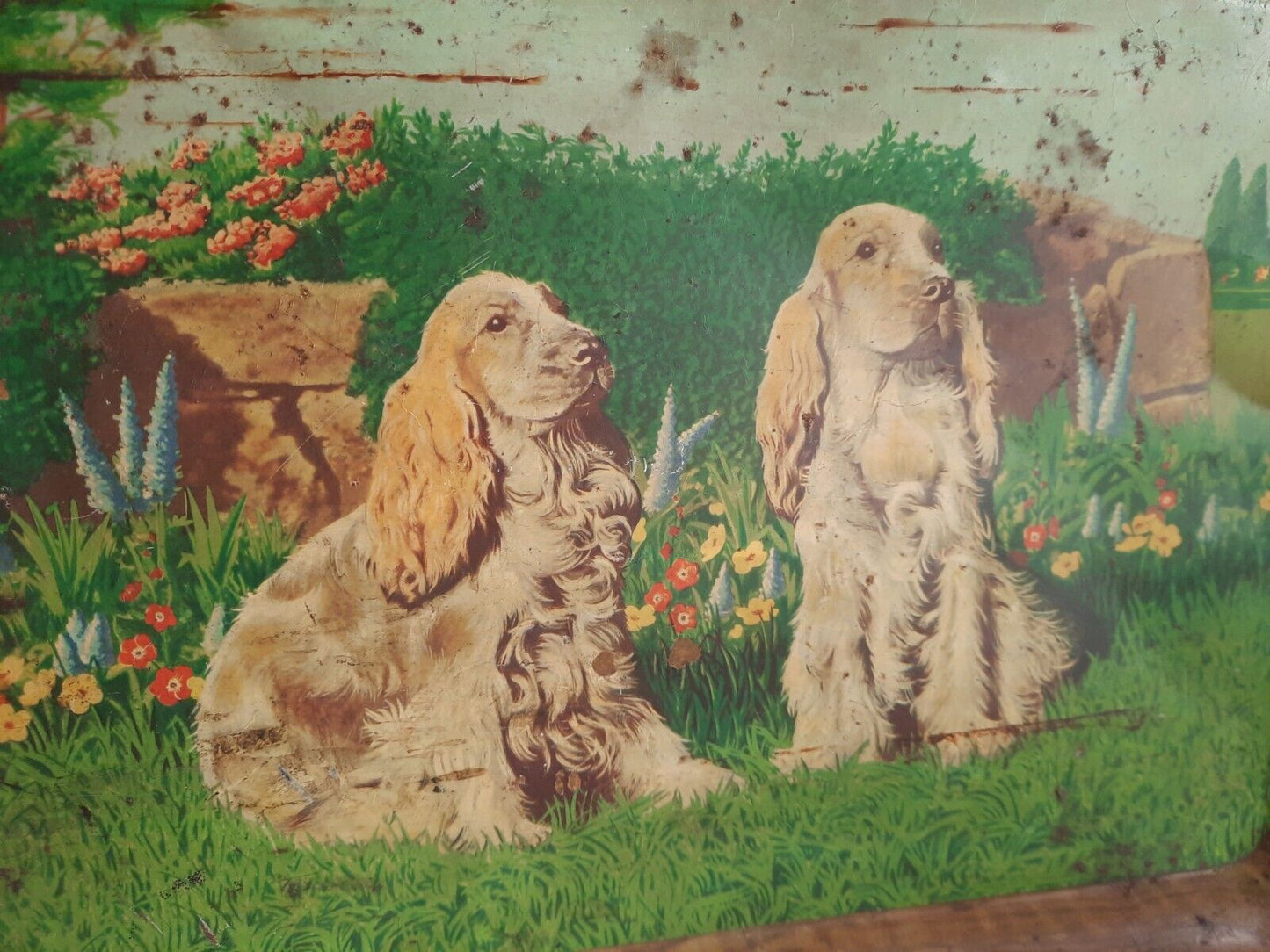 Rare 20s 30s Cocker Spaniel Dog COLOUR TIN LITHOGRAPH Antique Vintage TRAY Serve
