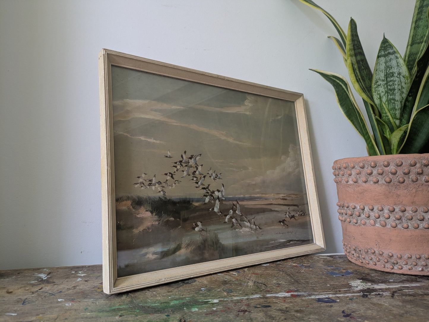 1940s Mid Century Print, FRIGHTENED OYSTER CATCHERS Vernon Ward Birds Flying Vgc