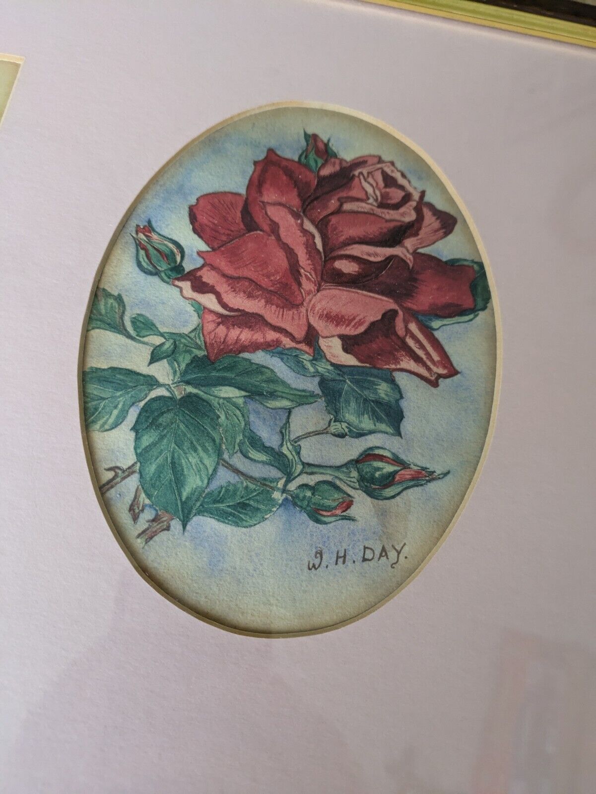 1921 Signed Antique Rose Painting By W H Day Frame Pink Mount W H Day Artist Vgc