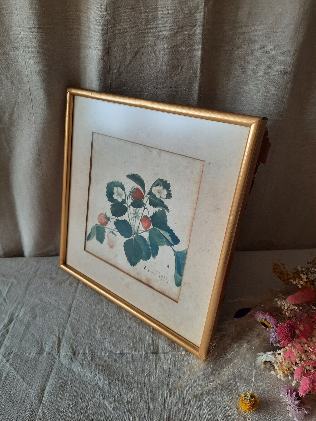 R B Mai 1914 original British 20thC Strawberry Signed Watercolour Botanical Rare