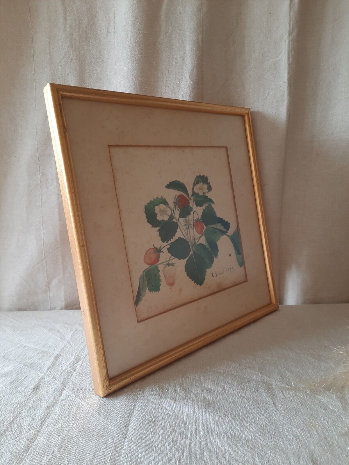 R B Mai 1914 original British 20thC Strawberry Signed Watercolour Botanical Rare