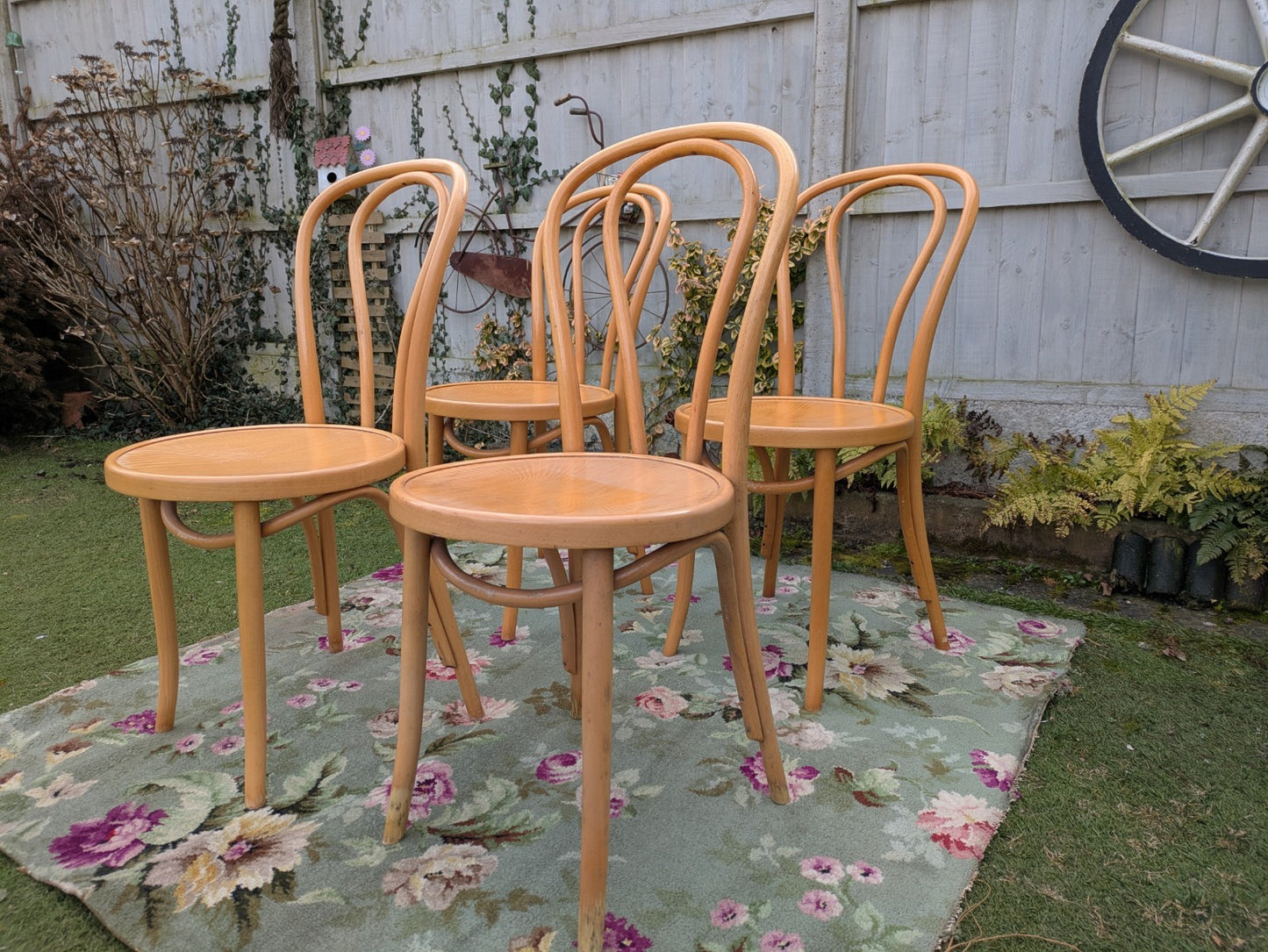 Set of 4 Vintage Fameg Radomsko Bentwood Chairs 1970s Polish Design Beech Wood