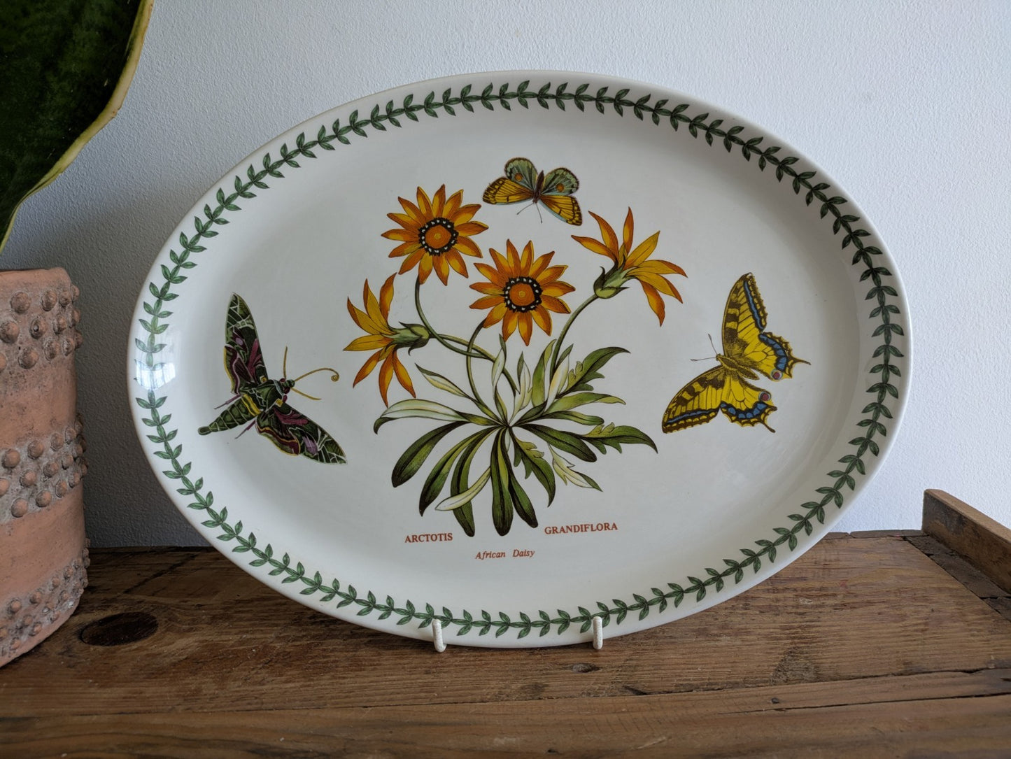 Port Meirion Botanic Garden Butterfly Oval Serving Platter Arctotis Grandiflora