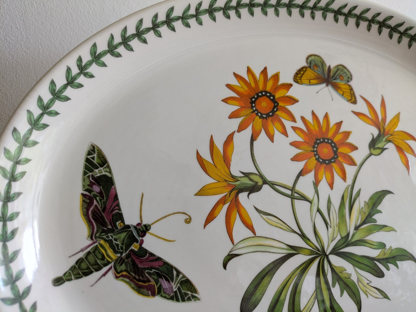 Port Meirion Botanic Garden Butterfly Oval Serving Platter Arctotis Grandiflora
