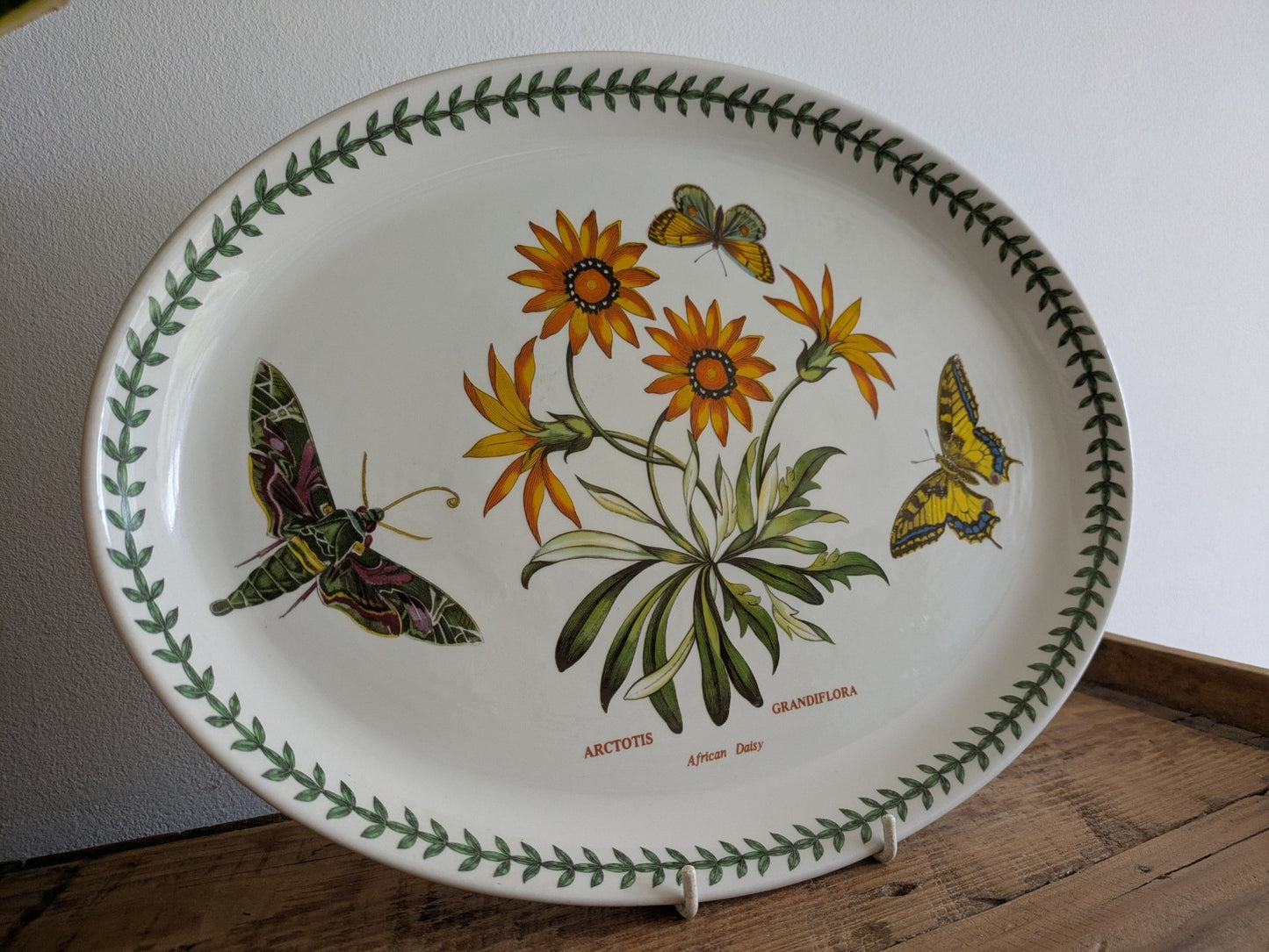 Port Meirion Botanic Garden Butterfly Oval Serving Platter Arctotis Grandiflora