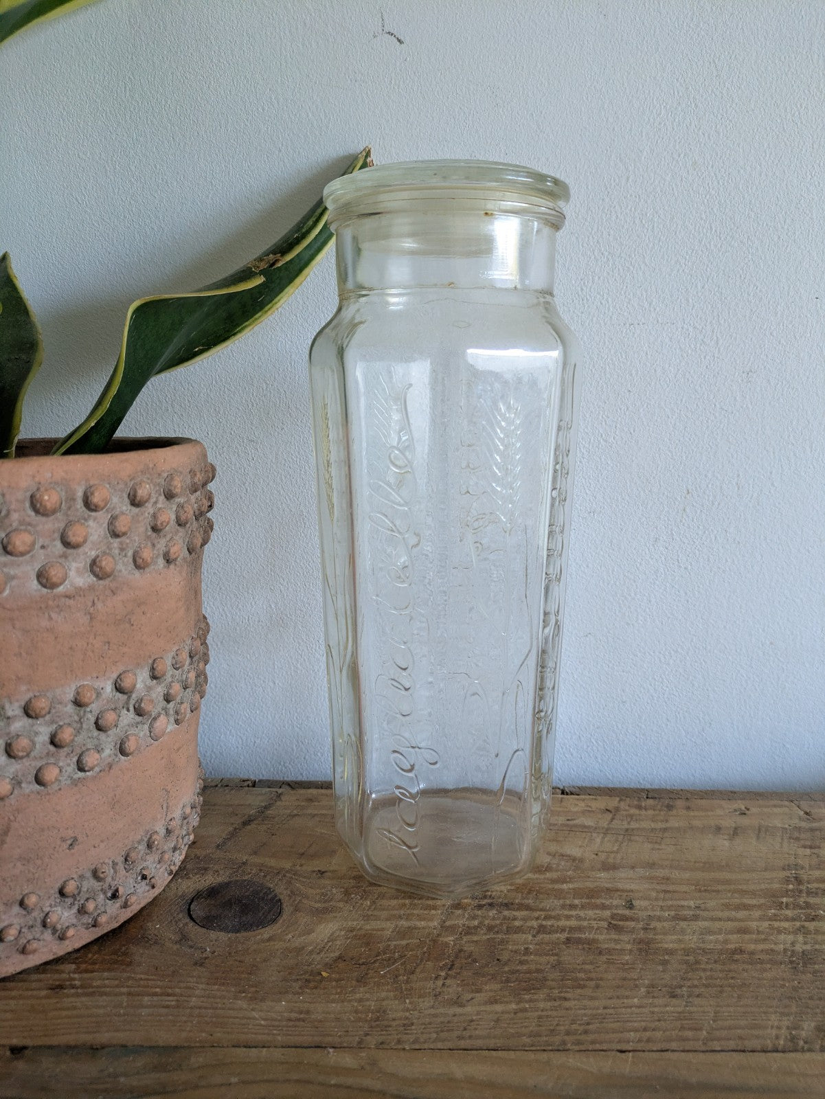Retro Vintage Embossed Glass Spaghetti Pasta Storage Jar Tall Linguini Container