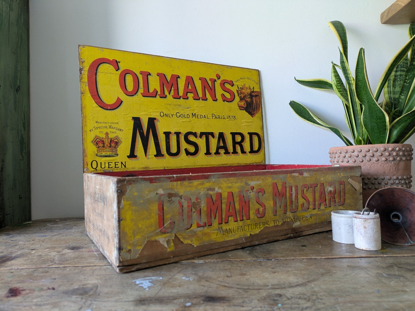 Rare Antique Colman's Mustard Crate 1890 Box Advertising Packaging Vintage Prop