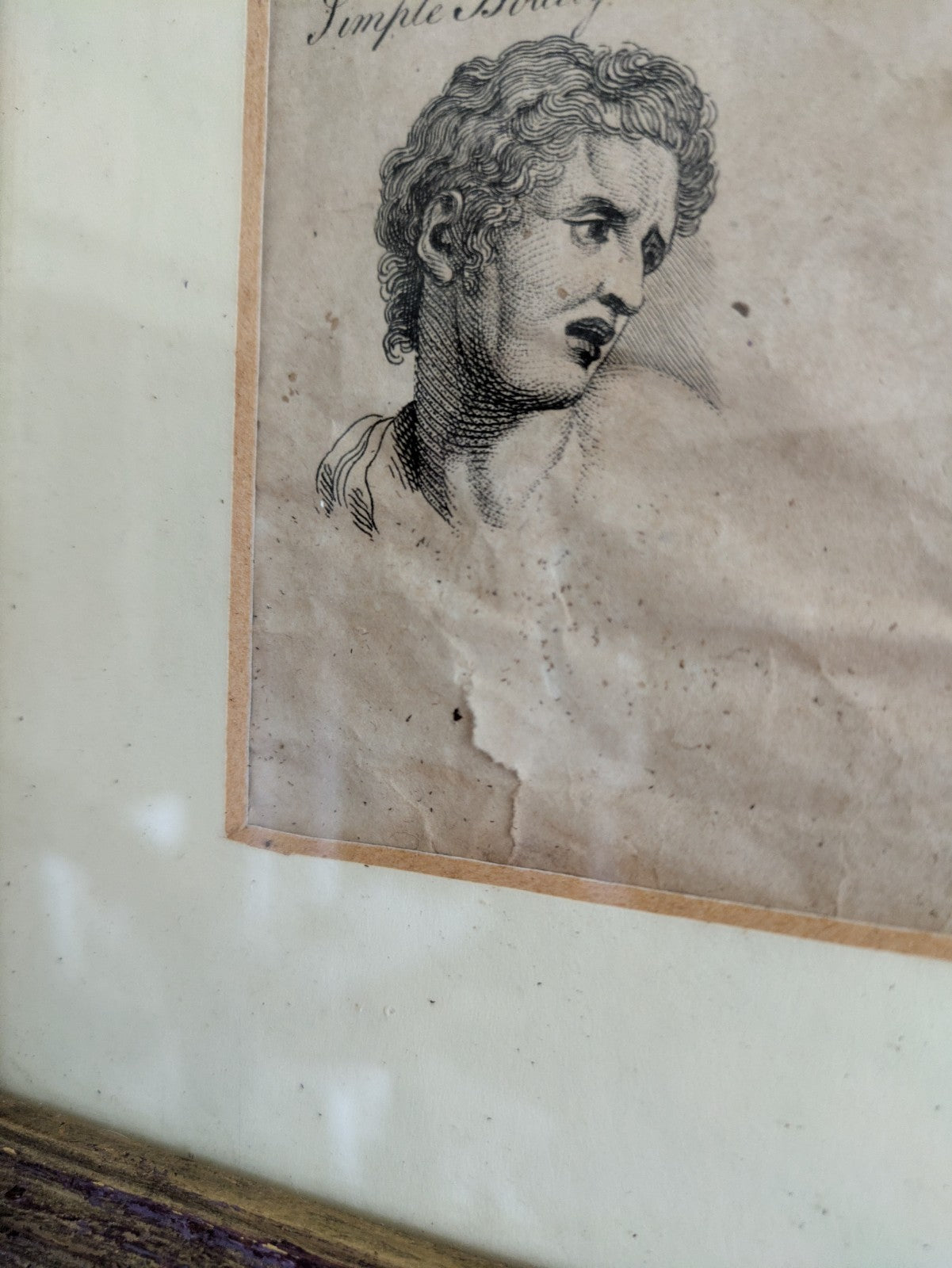 Antique Original Print Plate HUMAN PASSIONS EXPRESSIONS VTG Framed Desire Joy