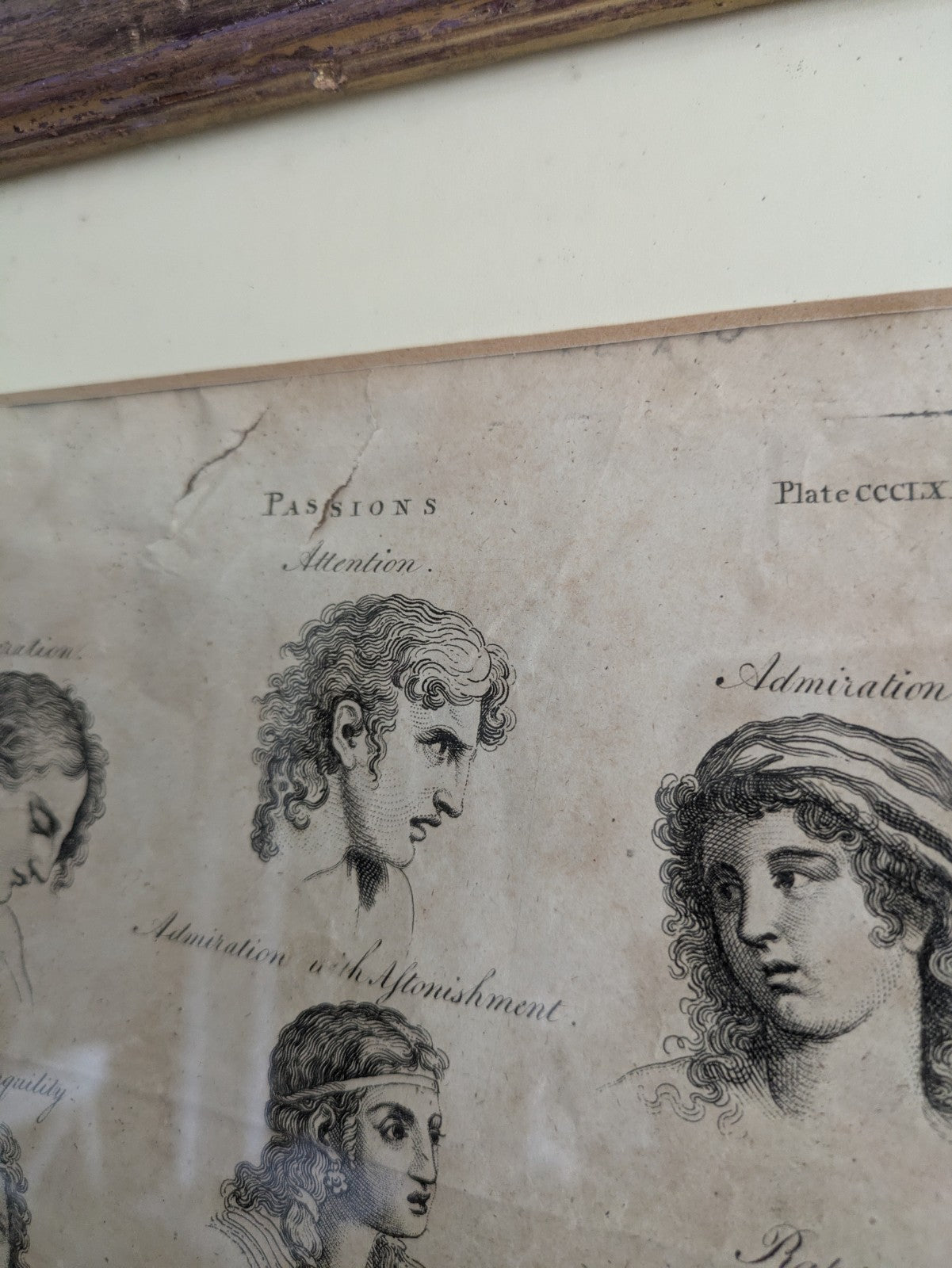 Antique Original Print Plate HUMAN PASSIONS EXPRESSIONS VTG Framed Desire Joy