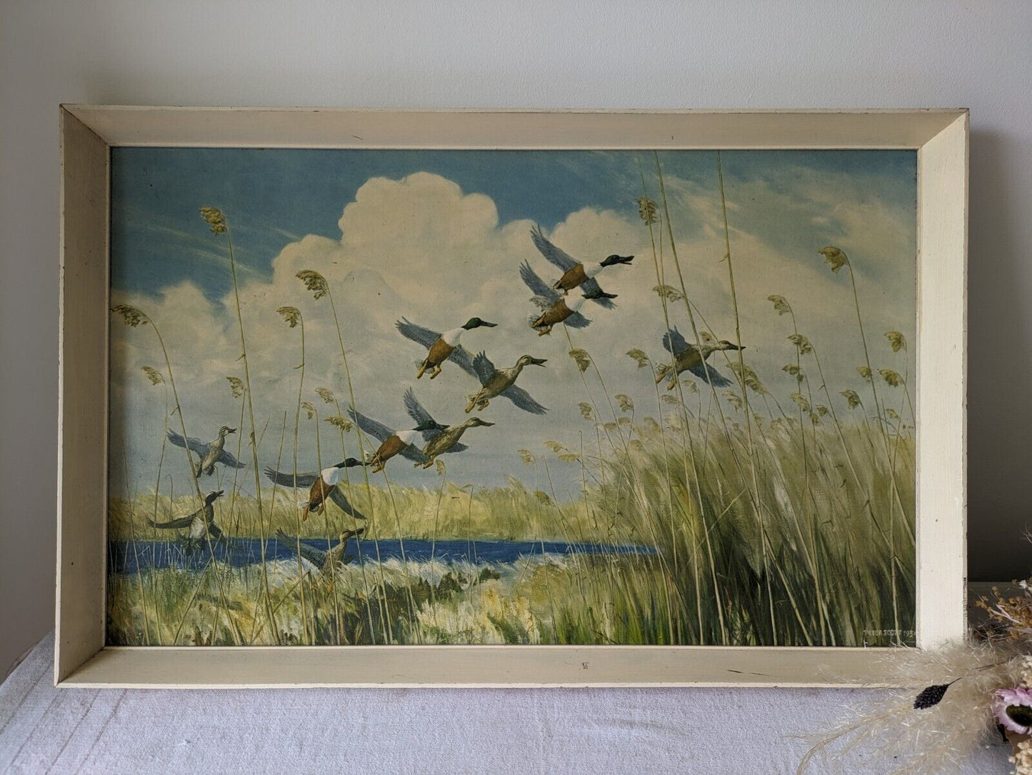 Peter Scott Vintage Framed Print Ducks Taking To Wing 1934 Old Picture Bird Lrg