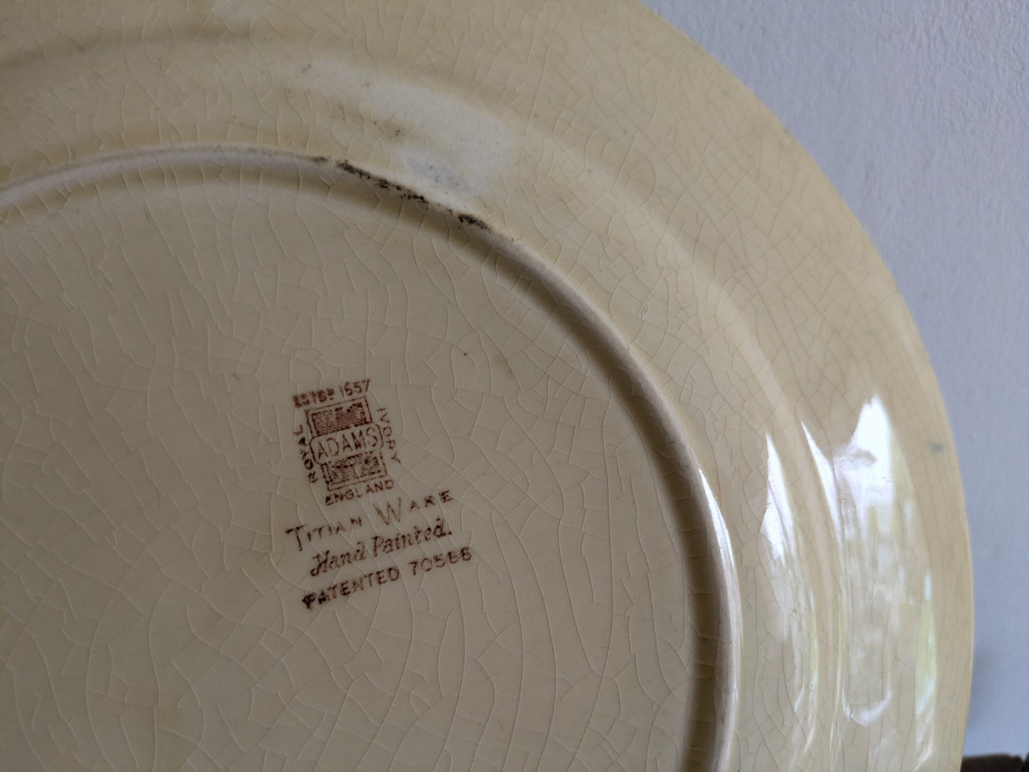 Royal Adams Ivory Titian Ware Dinner Plate Hand Painted Foliage Border Floral