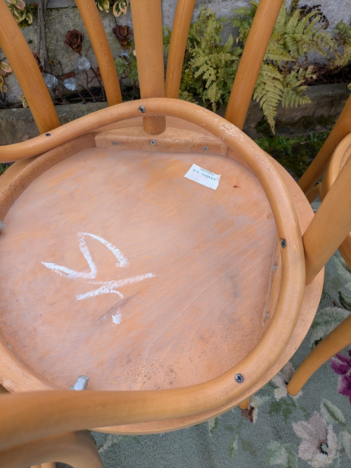 Set of 4 Vintage Fameg Radomsko Bentwood Chairs 1970s Polish Design Beech Wood