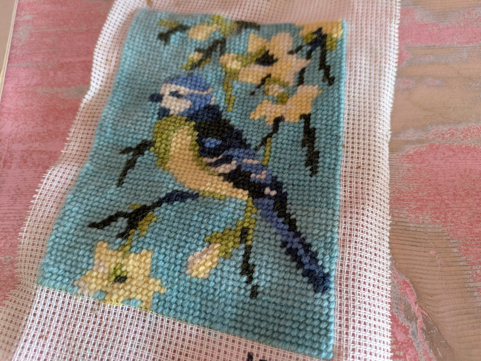 Penelope Blue Tit Bird on Branch Needlework Tapestry Kit Complete Panel Stitched