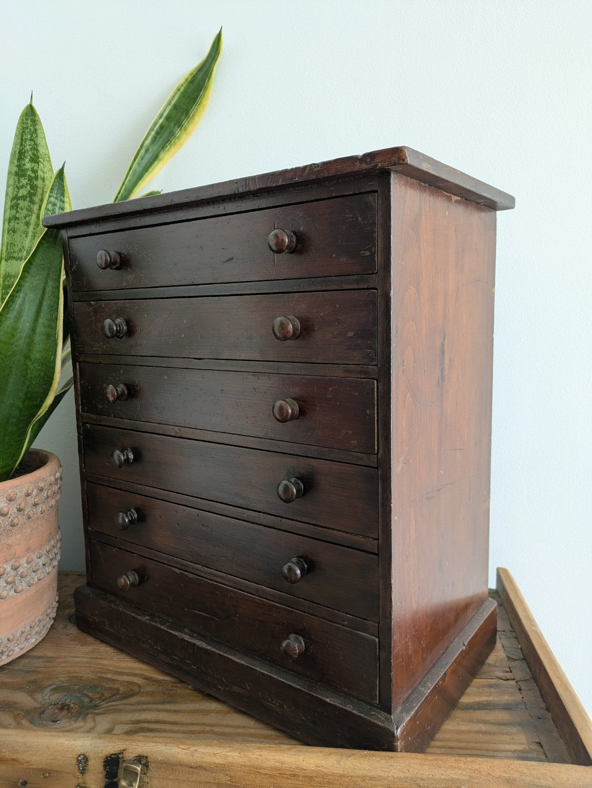 Antique 19th Century Specimen Display Cabinet Bank of Drawers Museum Display Vgc