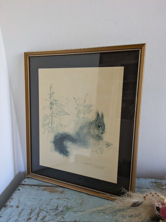 Vintage 1970's Squirrel Picture Print Mads Stage Danish Artist Retro Watercolour