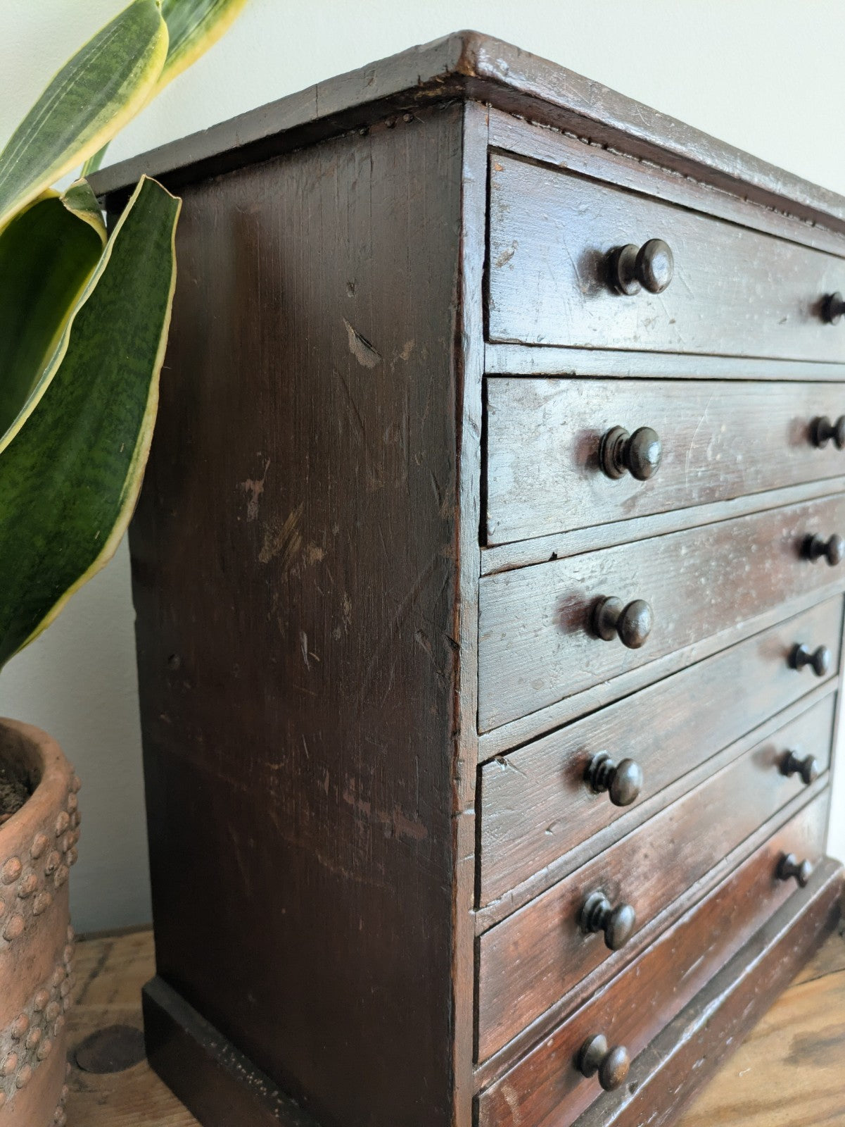 Antique 19th Century Specimen Display Cabinet Bank of Drawers Museum Display Vgc