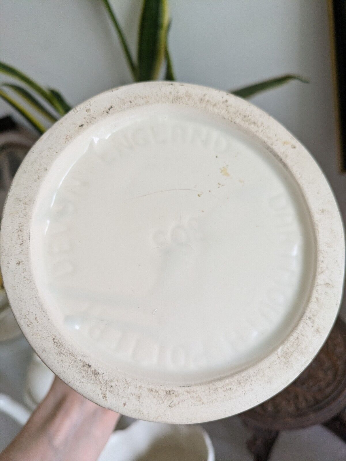 Original Vintage Retro White Dartmouth Devon Pottery Fantail Dove Bird Vase 803