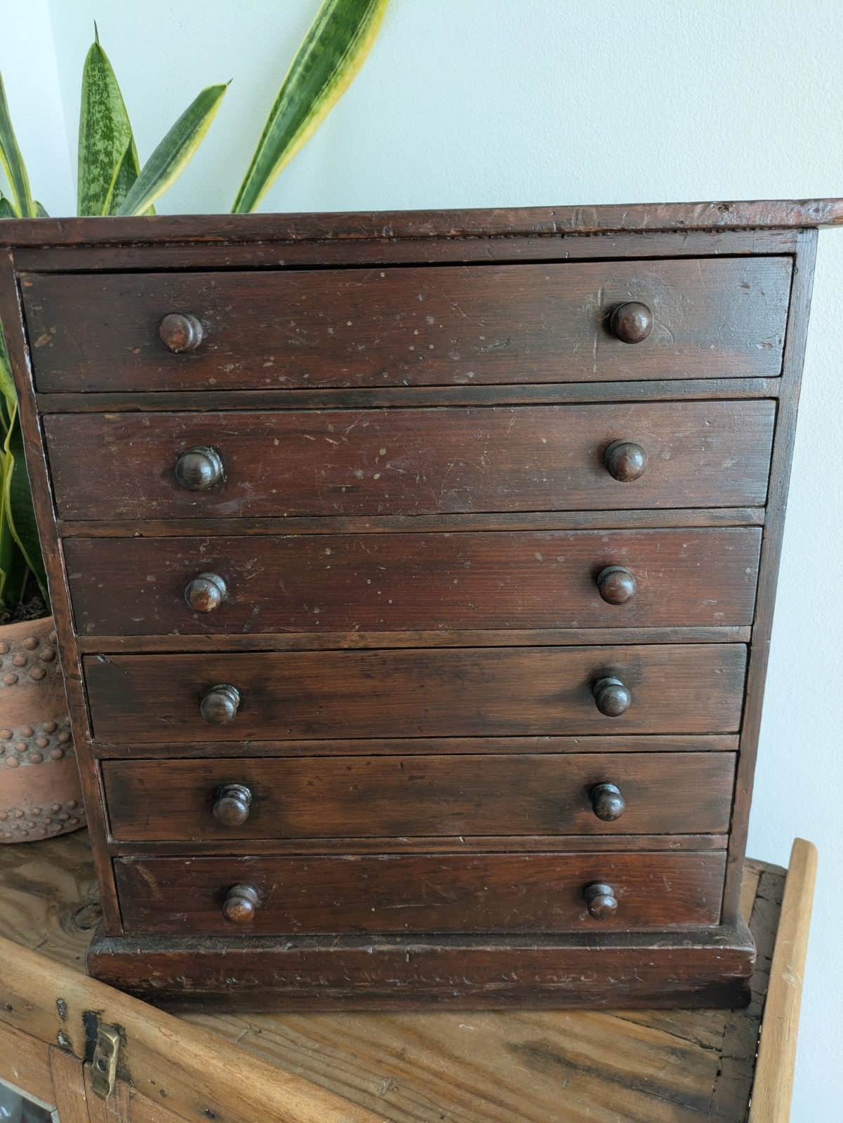 Antique 19th Century Specimen Display Cabinet Bank of Drawers Museum Display Vgc