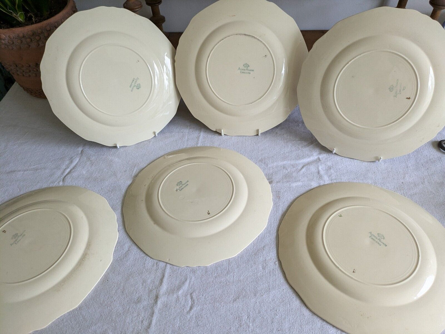 6x VINTAGE ALFRED MEAKIN SANDRINGHAM CABBAGE ROSE DINNER PLATE UP CREAM SHABBY 