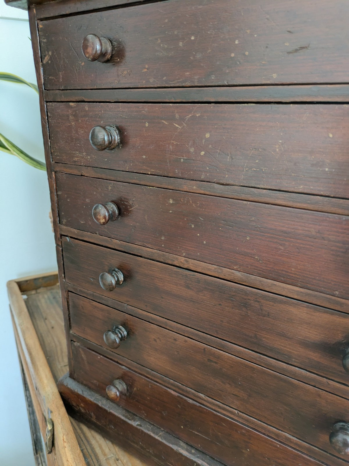 Antique 19th Century Specimen Display Cabinet Bank of Drawers Museum Display Vgc