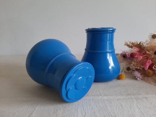2 70s FRANCE KITCHEN JARS GLASS VERRERIE DU GIER SUNFLOWER DAISY FLOWER BLUE PAI