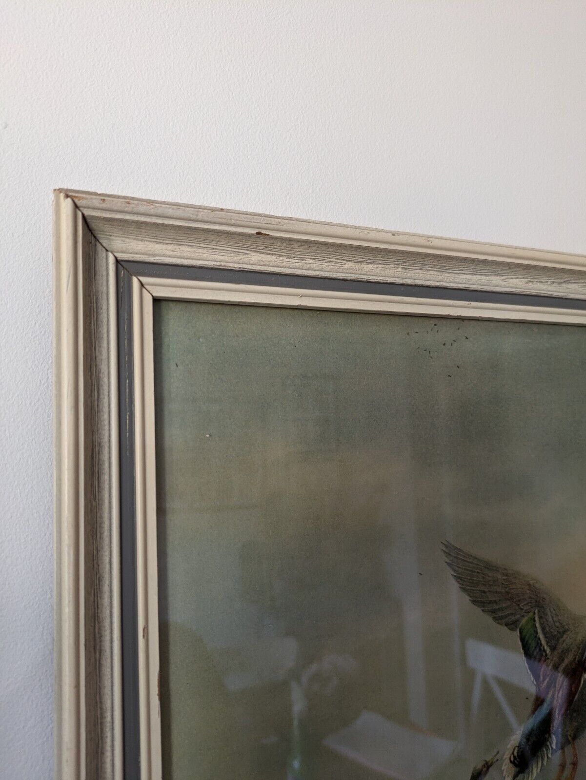 VTG W E Powell Framed Print Ducks Over The Salt Flats Picture Bird Rare Flying 