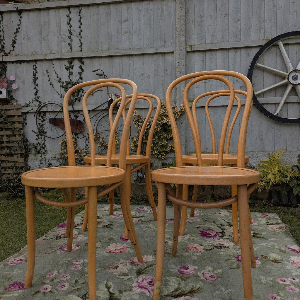 Set of 4 Vintage Fameg Radomsko Bentwood Chairs 1970s Polish Design Beech Wood