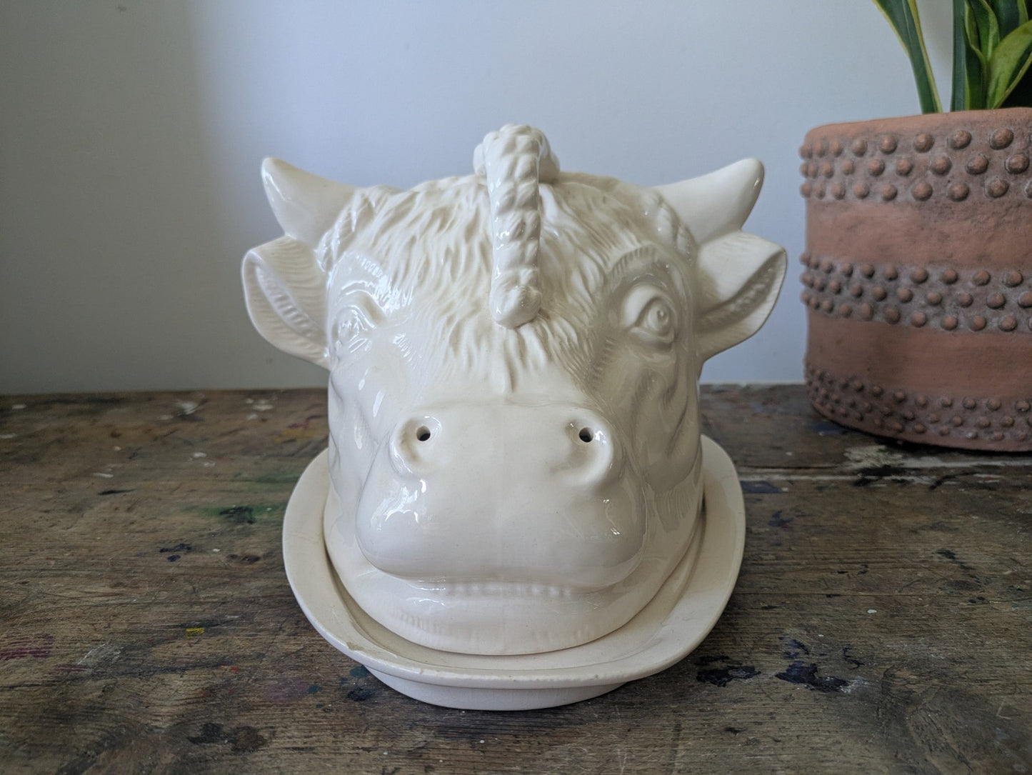 Rare Bull Head Cheese Dish Cloche With Plate Vintage Antique Cream Ceramic Old 