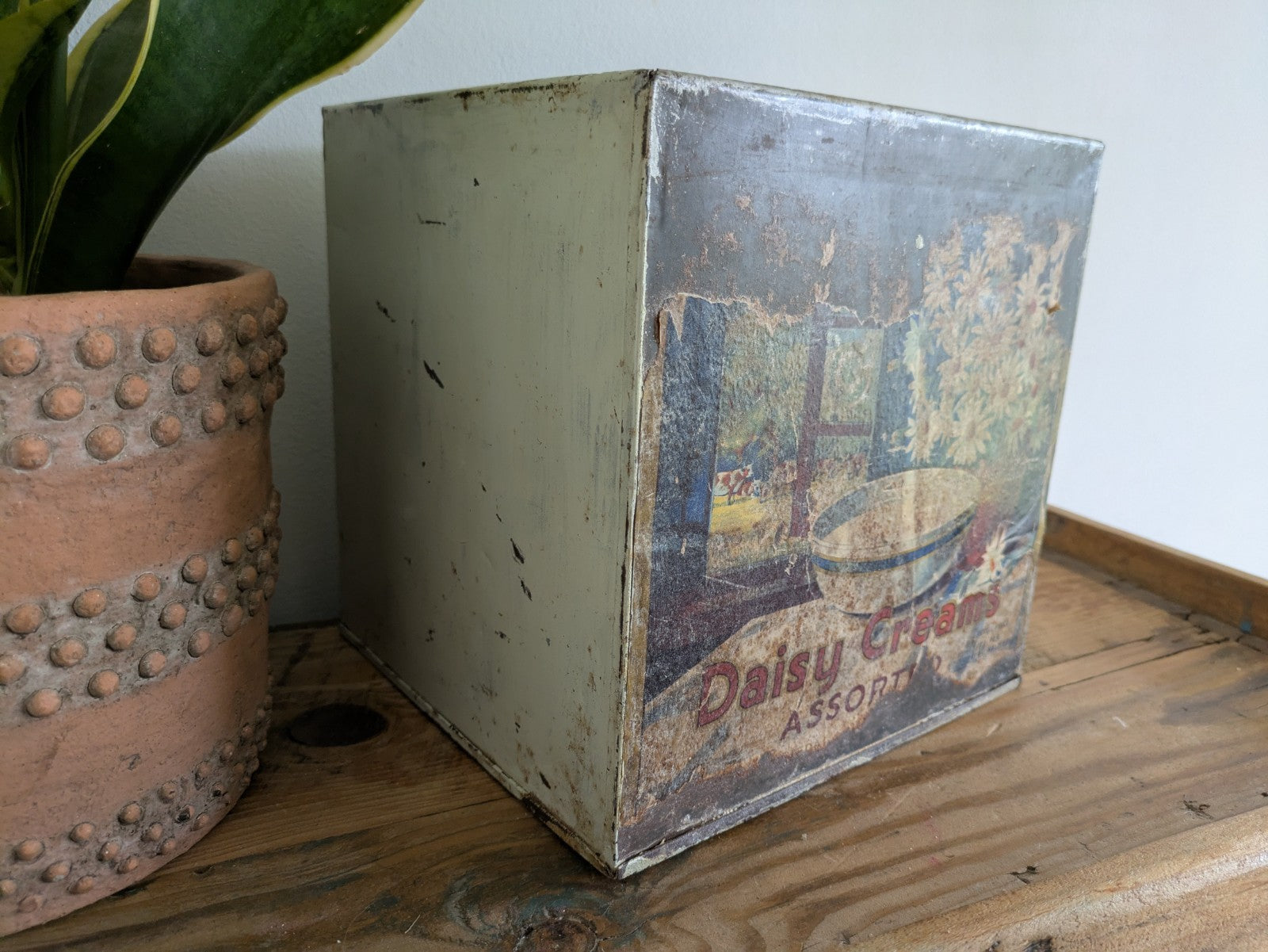 Old M&D Antique Biscuit Tin Box Metal Original Label Advertising Shop Display 