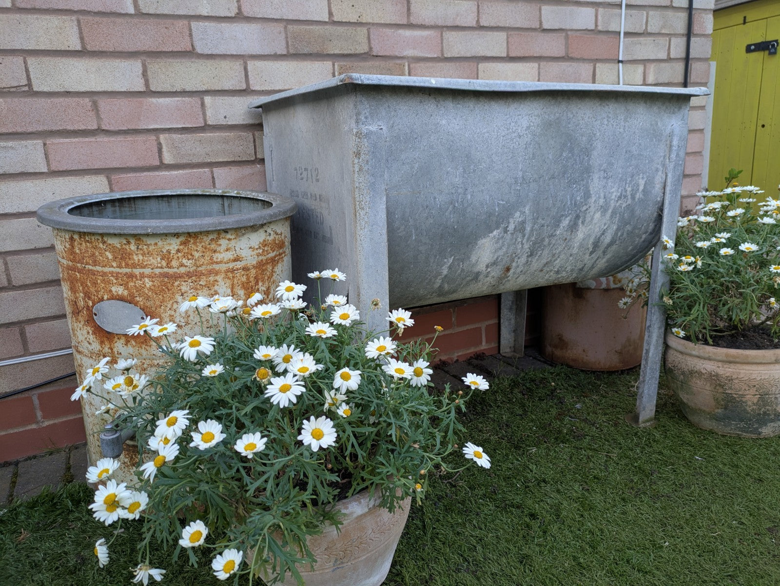 Galvanised Dairy Tank Planter Water Holder Garden Allotment Tub Farm Feed Sink 