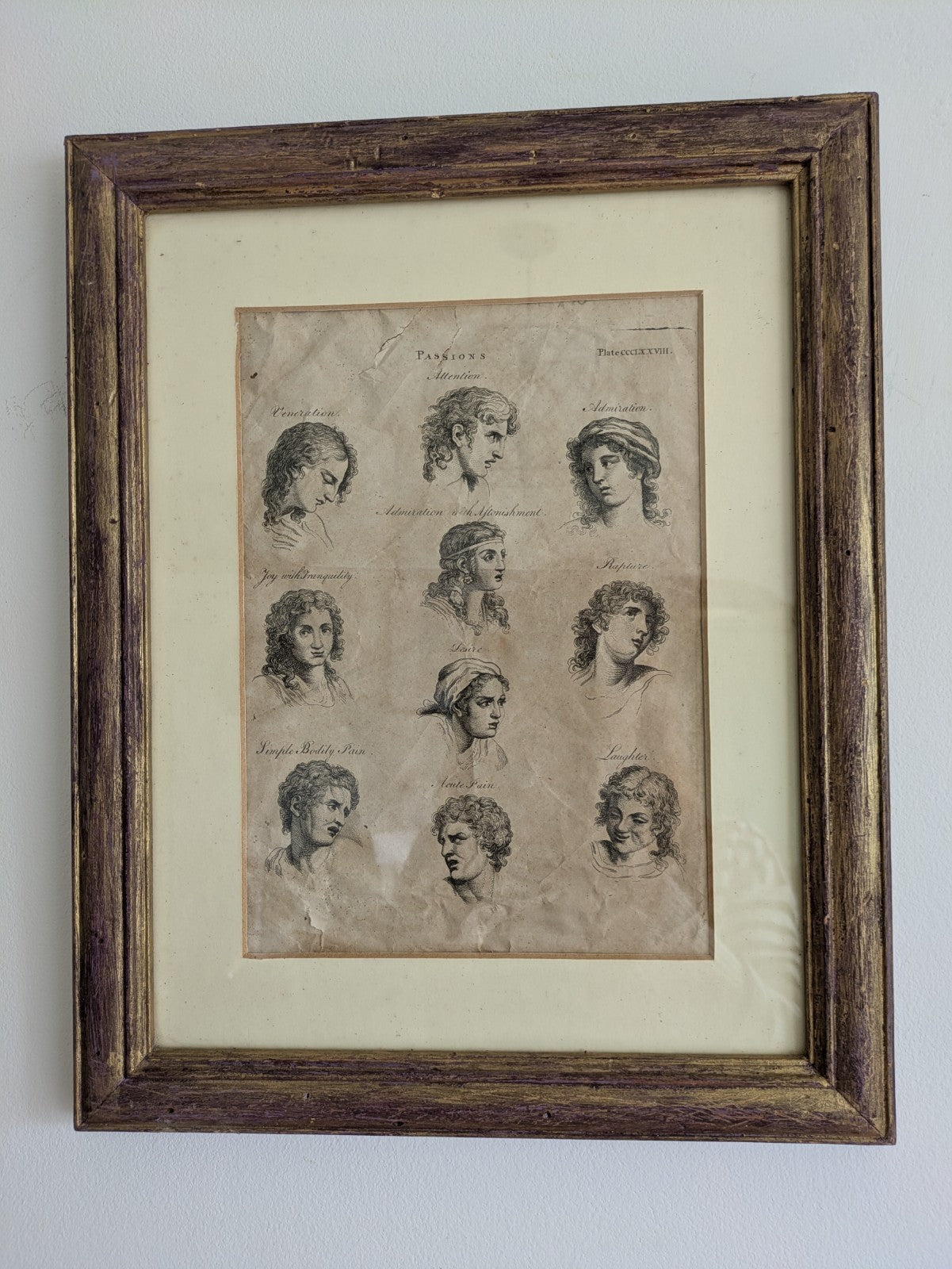 Antique Original Print Plate HUMAN PASSIONS EXPRESSIONS VTG Framed Desire Joy