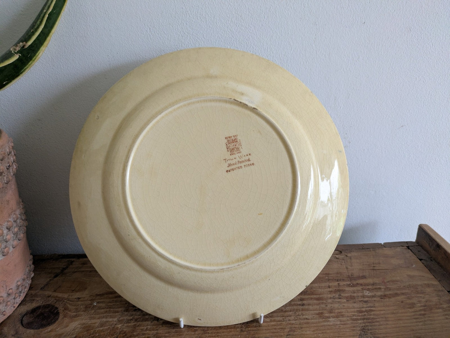 Royal Adams Ivory Titian Ware Dinner Plate Hand Painted Foliage Border Floral