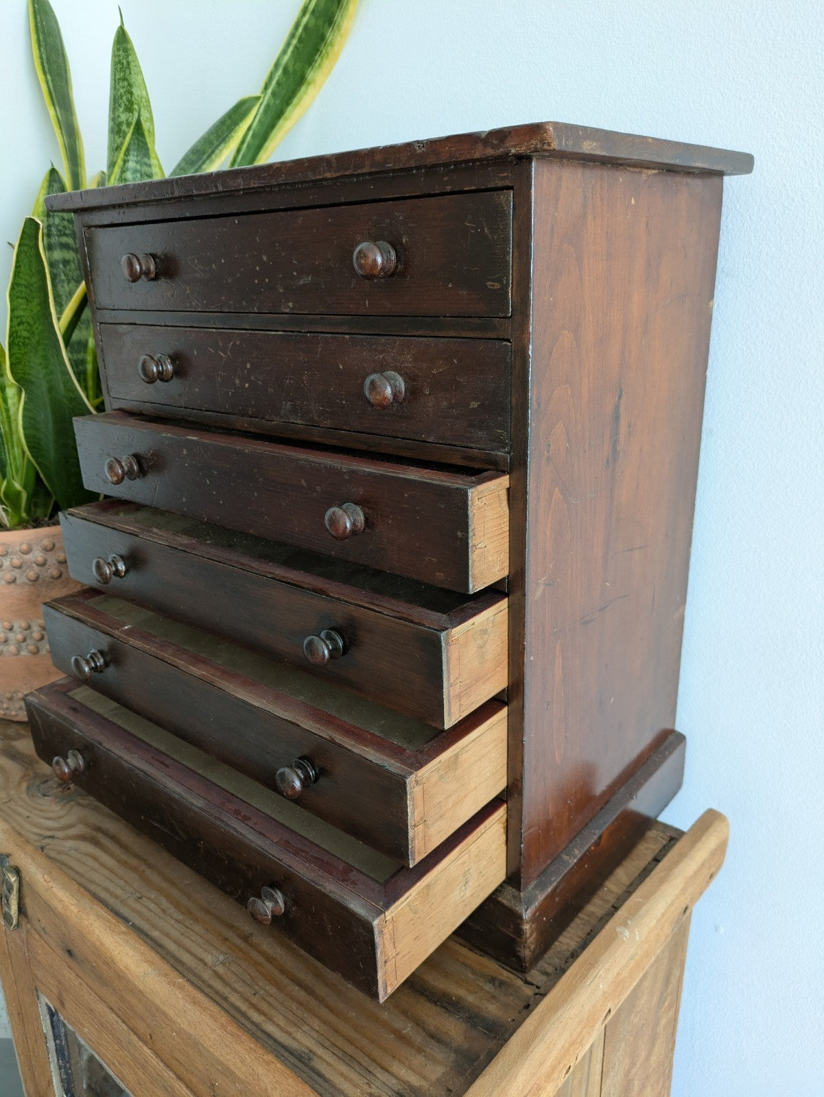 Antique 19th Century Specimen Display Cabinet Bank of Drawers Museum Display Vgc