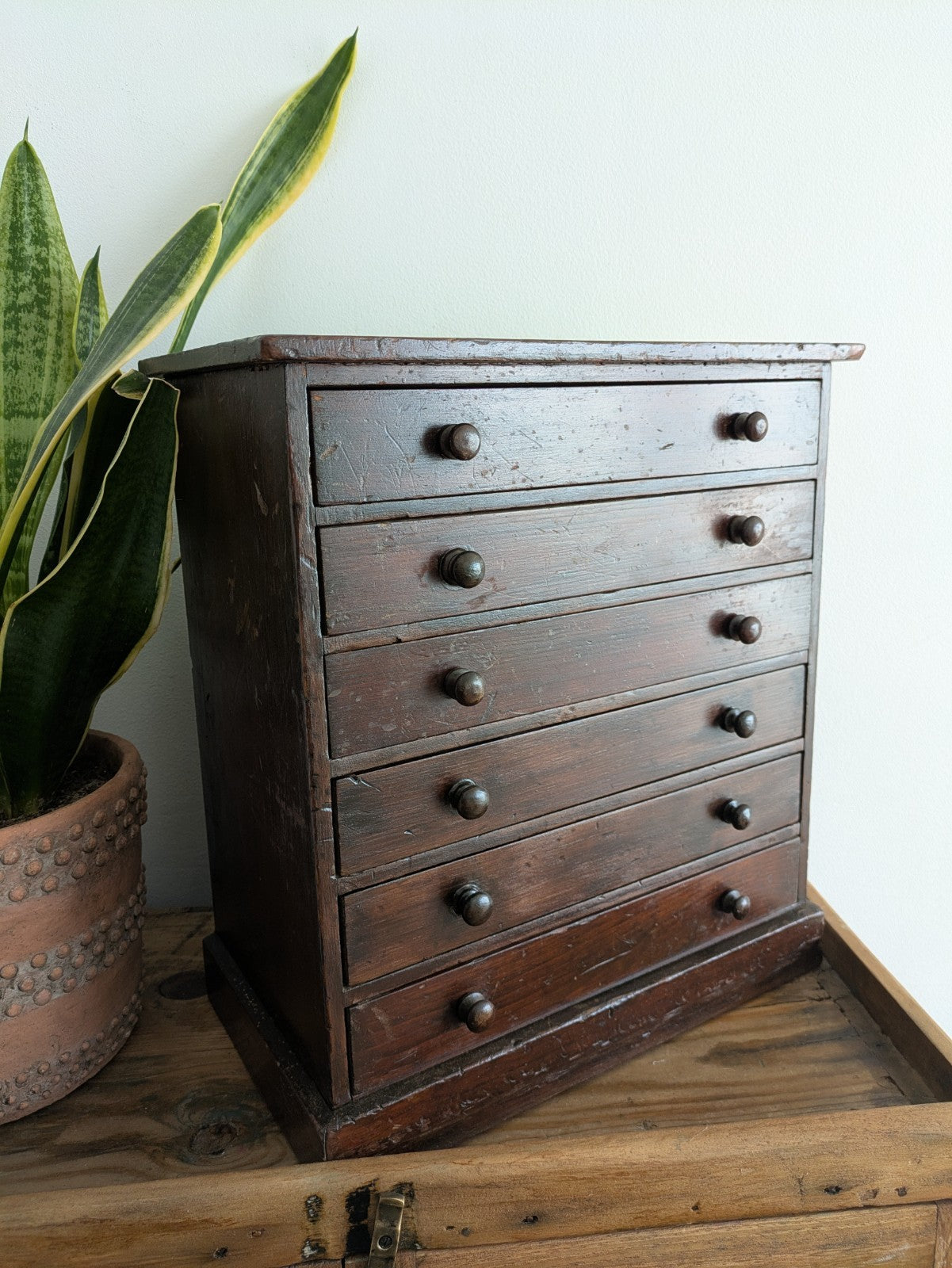 Antique 19th Century Specimen Display Cabinet Bank of Drawers Museum Display Vgc