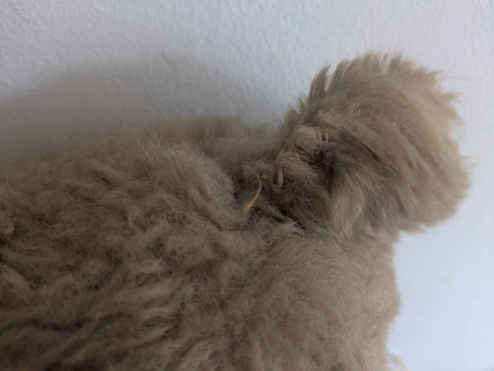 Old Vintage Teddy Bear Plush Soft  Articulated Jointed Toy Collar Prop Vgc Large