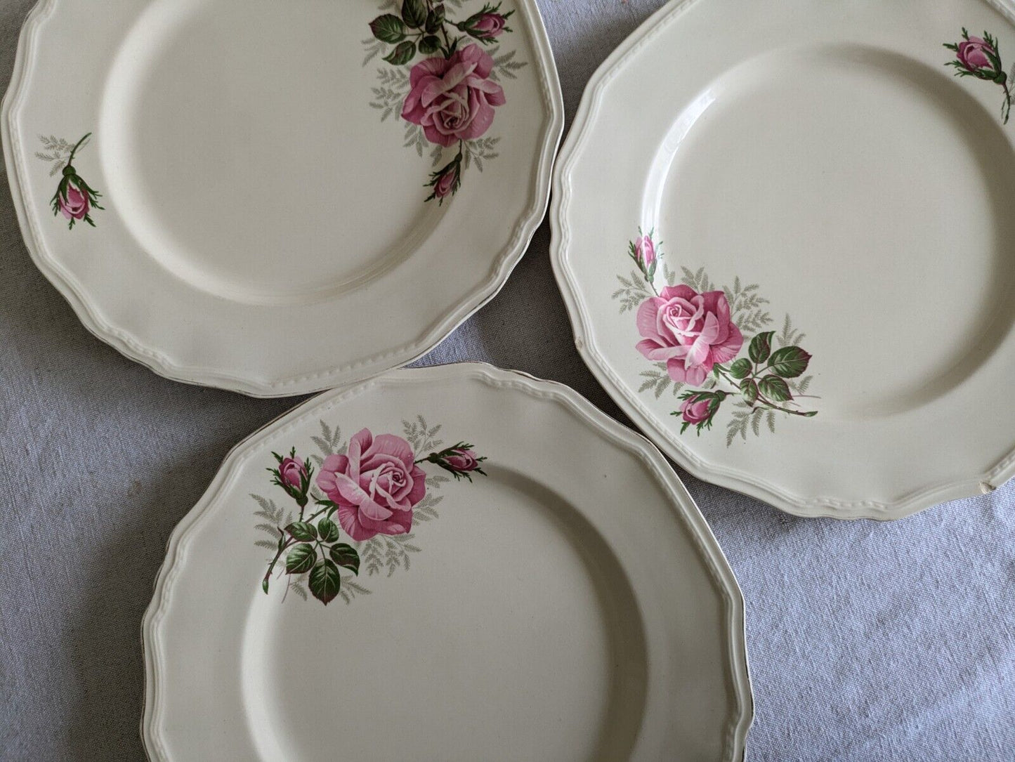 6x VINTAGE ALFRED MEAKIN SANDRINGHAM CABBAGE ROSE DINNER PLATE UP CREAM SHABBY 