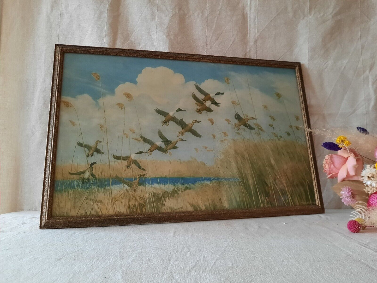 Peter Scott Vintage Framed Print Ducks Taking To Wing 1934 Old Picture Bird Rare