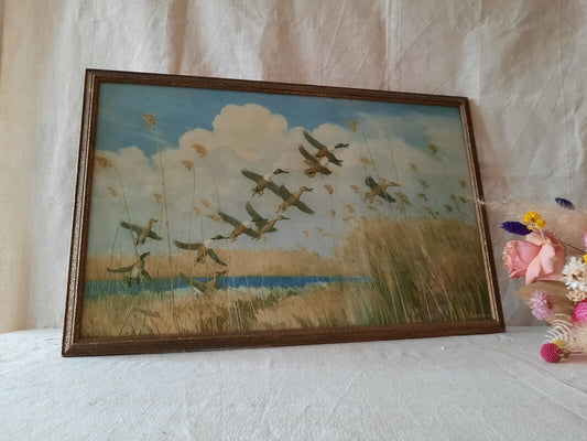 Peter Scott Vintage Framed Print Ducks Taking To Wing 1934 Old Picture Bird Rare
