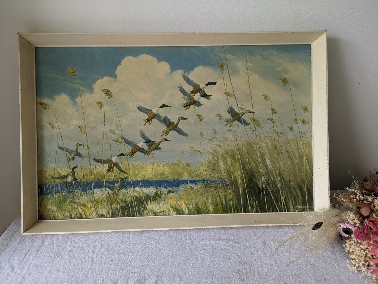 Peter Scott Vintage Framed Print Ducks Taking To Wing 1934 Old Picture Bird Lrg