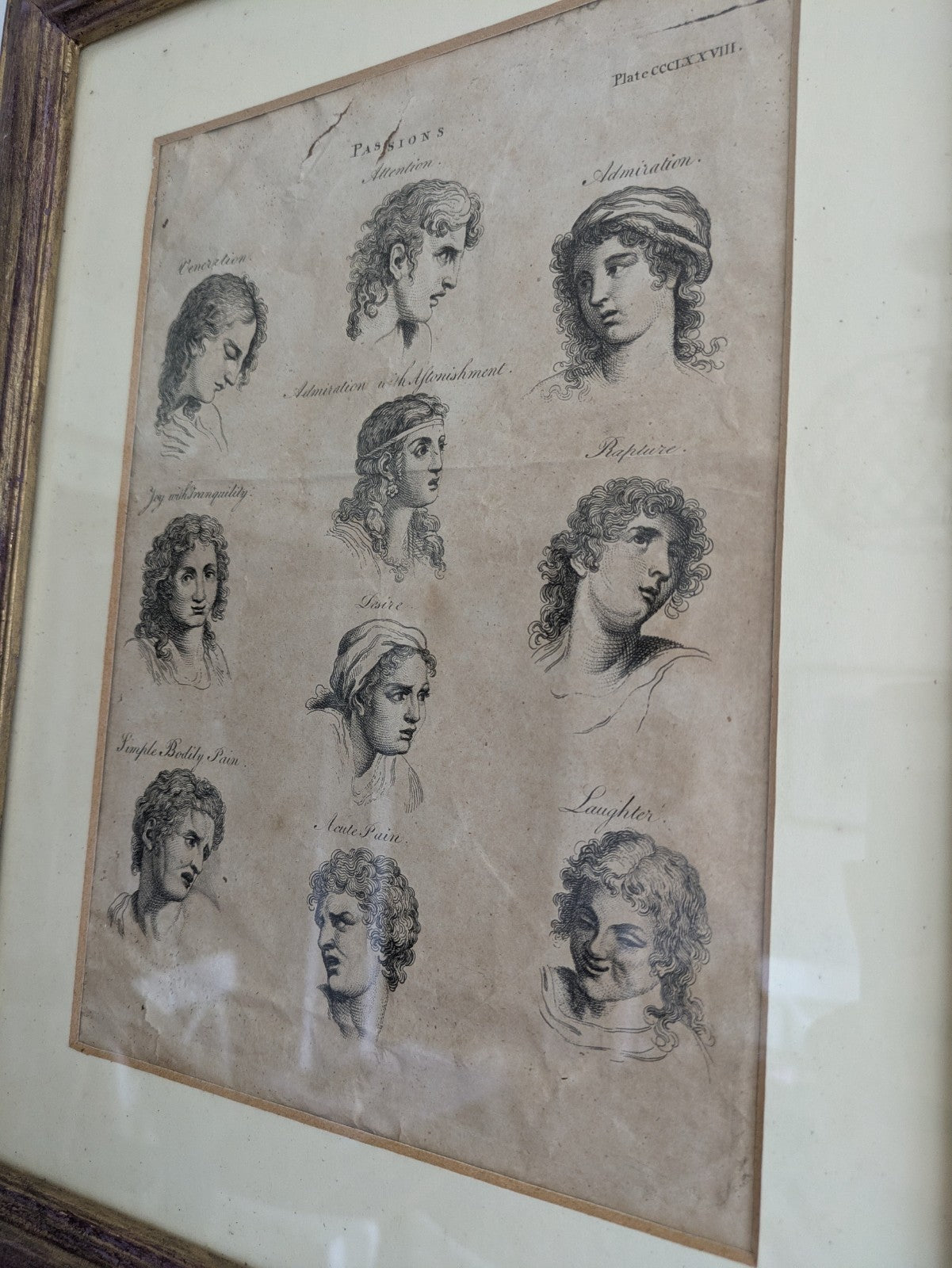 Antique Original Print Plate HUMAN PASSIONS EXPRESSIONS VTG Framed Desire Joy