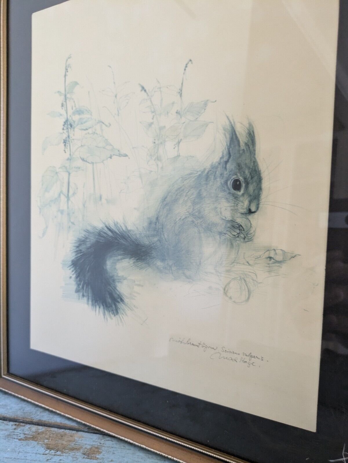 Vintage 1970's Squirrel Picture Print Mads Stage Danish Artist Retro Watercolour