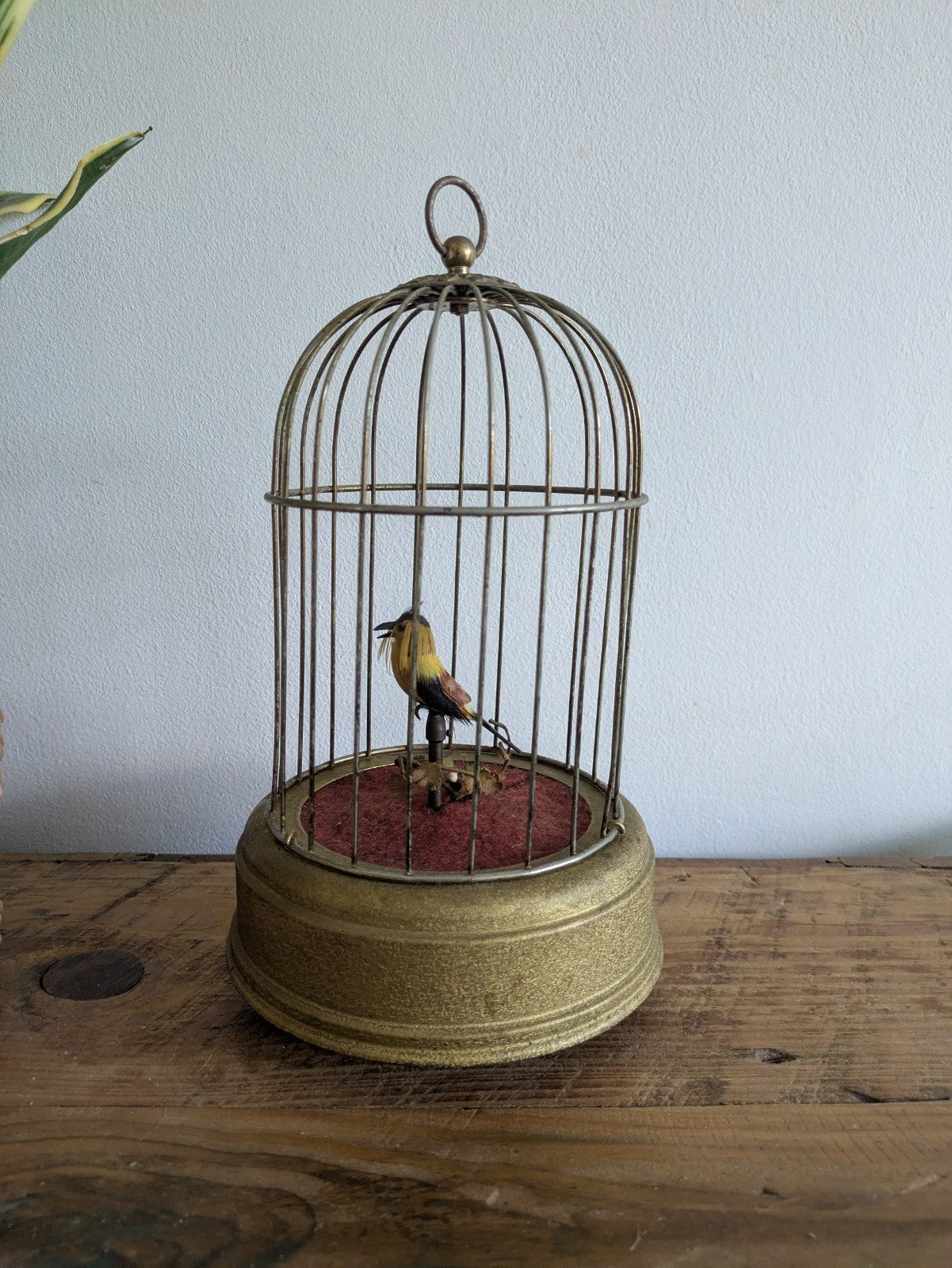 German Antique Singing Bird Cage Automation With Bird Brass Musical Moving TLC 