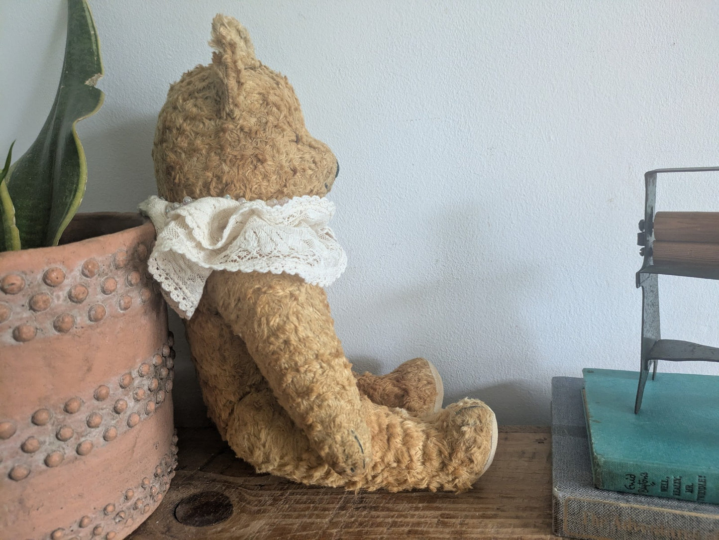 Antique Vintage Teddy Bear Straw Mohair  Articulated Jointed Toy Collar Prop Vgc