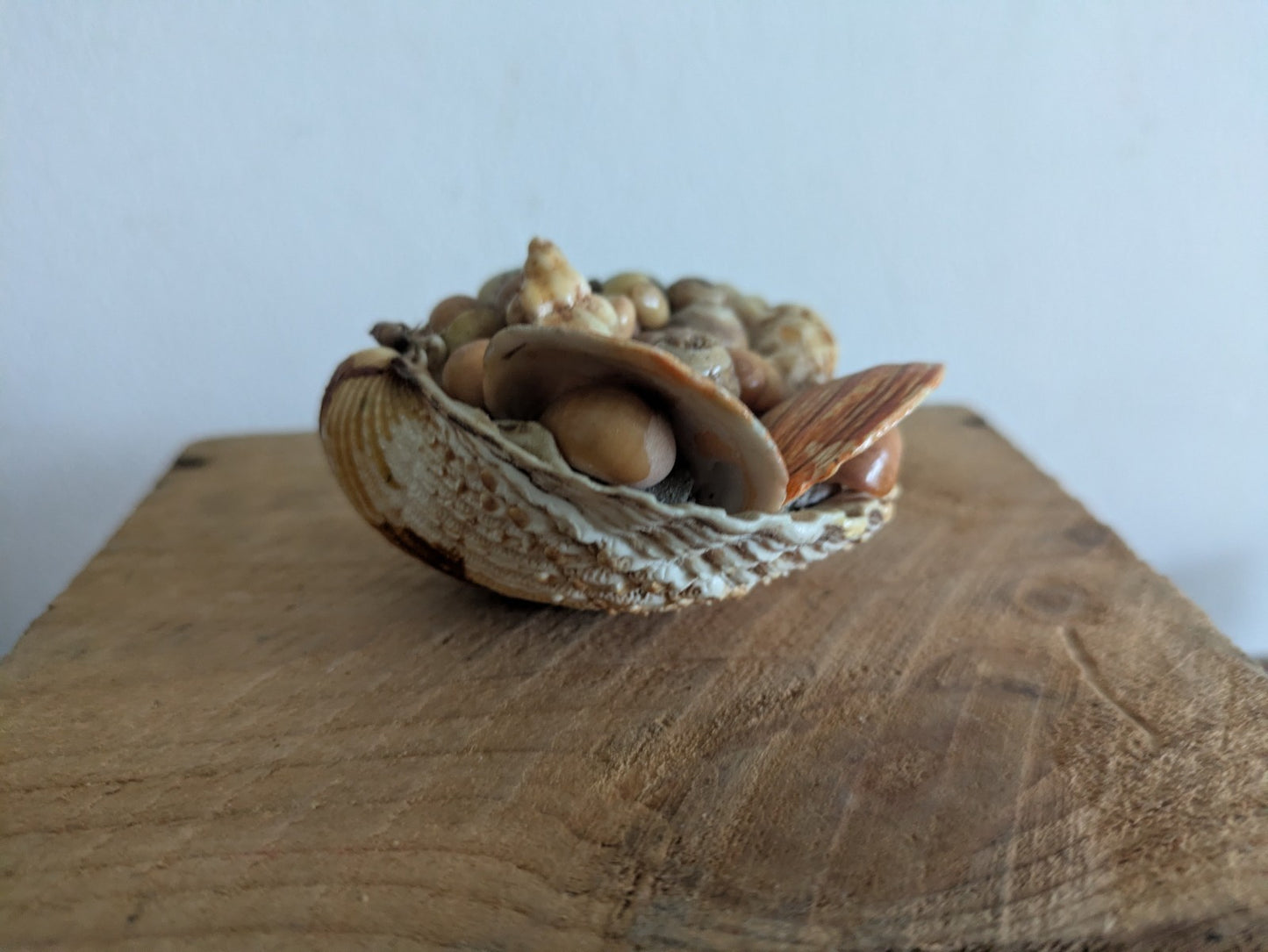 Mid Century Hand Crafted Sea Shell Folk Art Figurine Vintage Ornament Nautical 