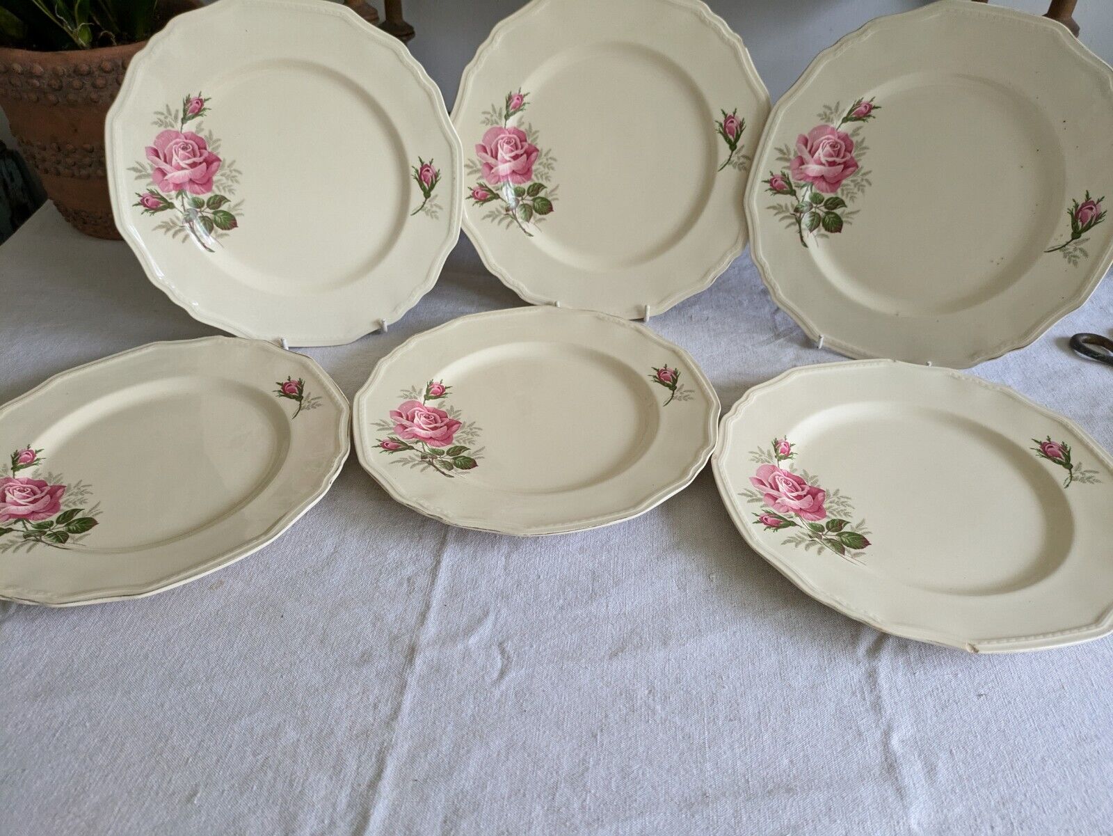 6x VINTAGE ALFRED MEAKIN SANDRINGHAM CABBAGE ROSE DINNER PLATE UP CREAM SHABBY 