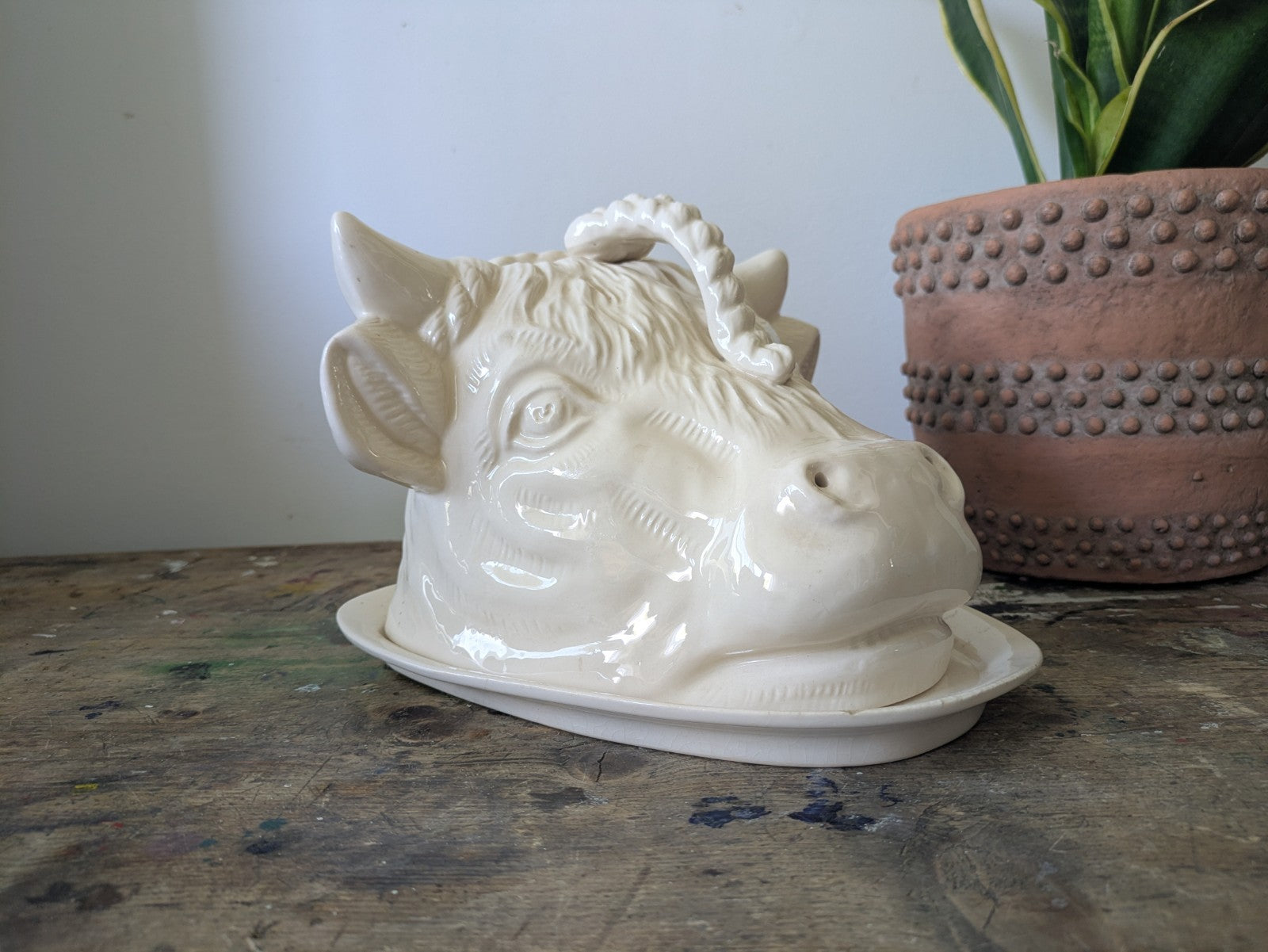 Rare Bull Head Cheese Dish Cloche With Plate Vintage Antique Cream Ceramic Old 