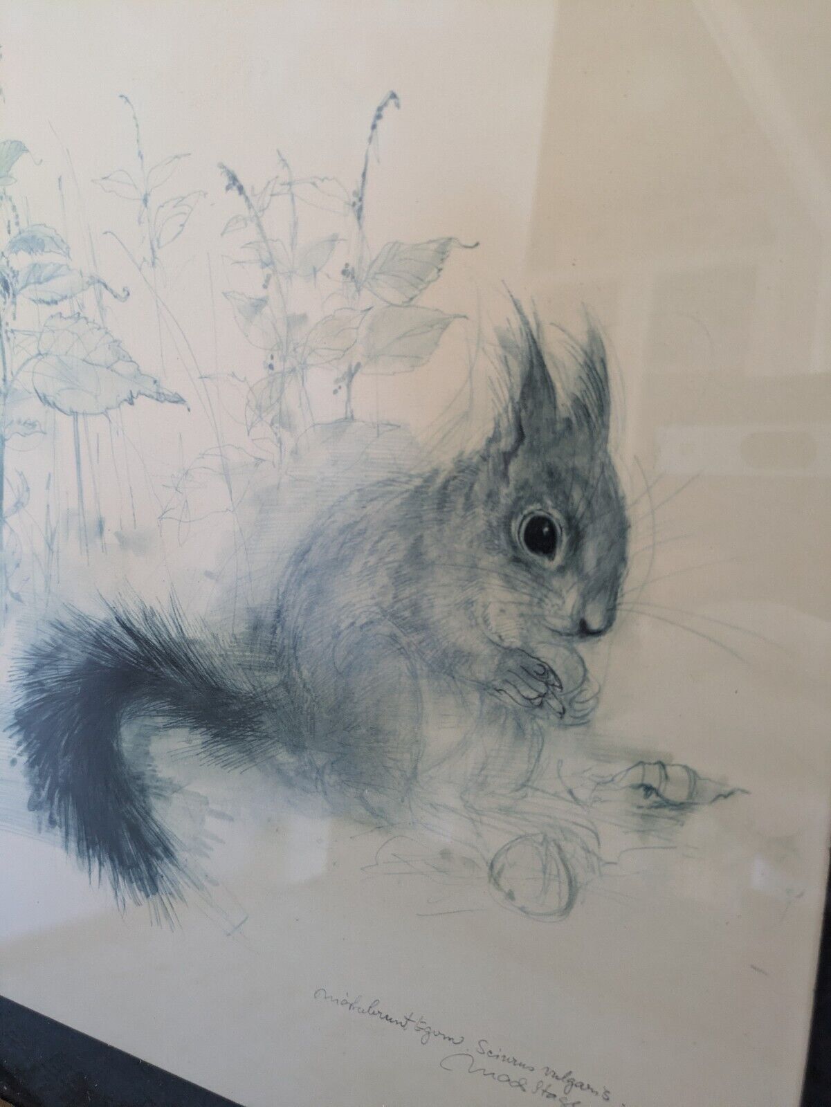 Vintage 1970's Squirrel Picture Print Mads Stage Danish Artist Retro Watercolour