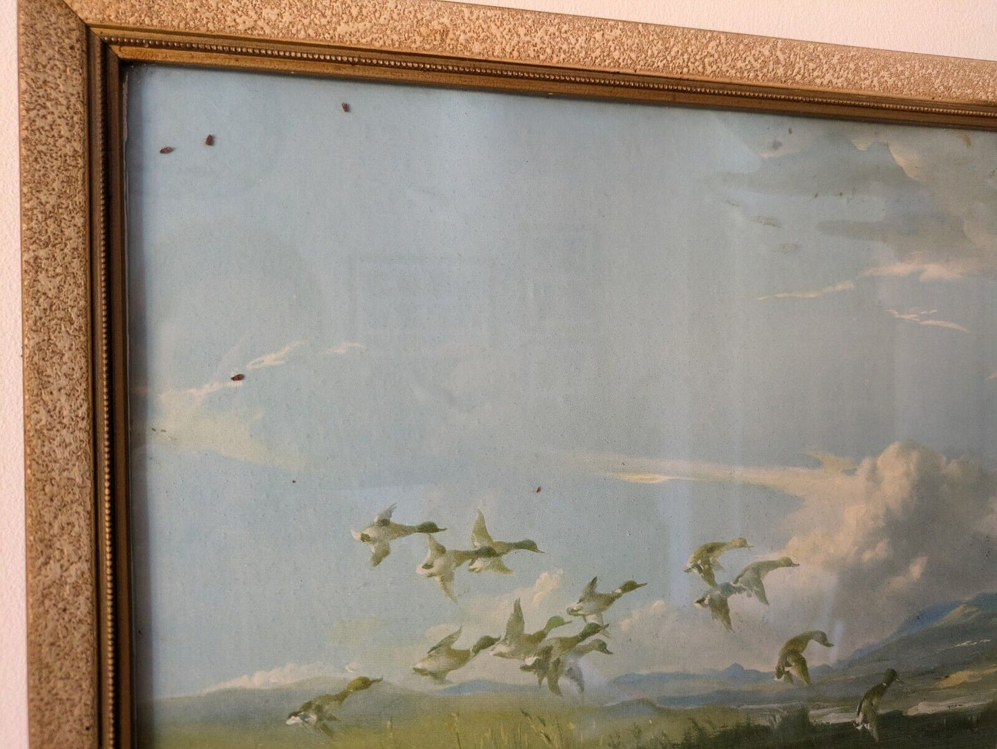 Vintage Vernon Ward Print Framed Art Painting The Flight Back 1945 Flying Ducks
