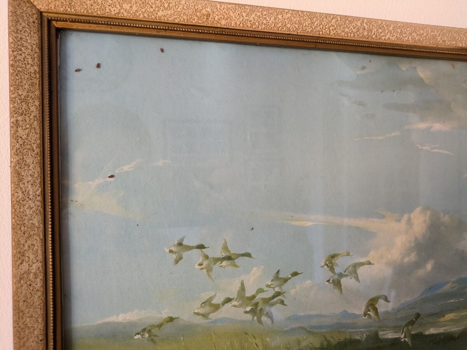 Vintage Vernon Ward Print Framed Art Painting The Flight Back 1945 Flying Ducks