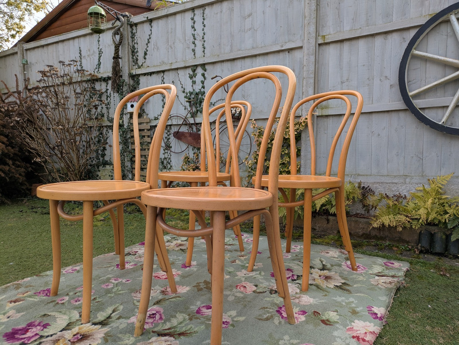 Set of 4 Vintage Fameg Radomsko Bentwood Chairs 1970s Polish Design Beech Wood